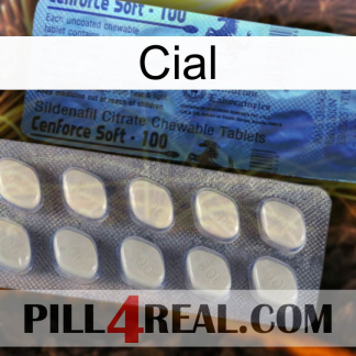 Cial 34